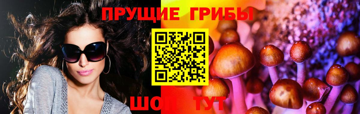 Галлюциногенные грибы Cubensis  Вход с VPN  Назарово  Псилоцибиновые грибы прущие грибы 